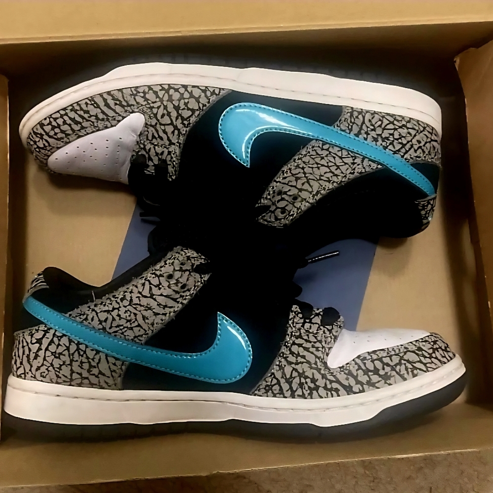 Nike Dunks Low Atmos